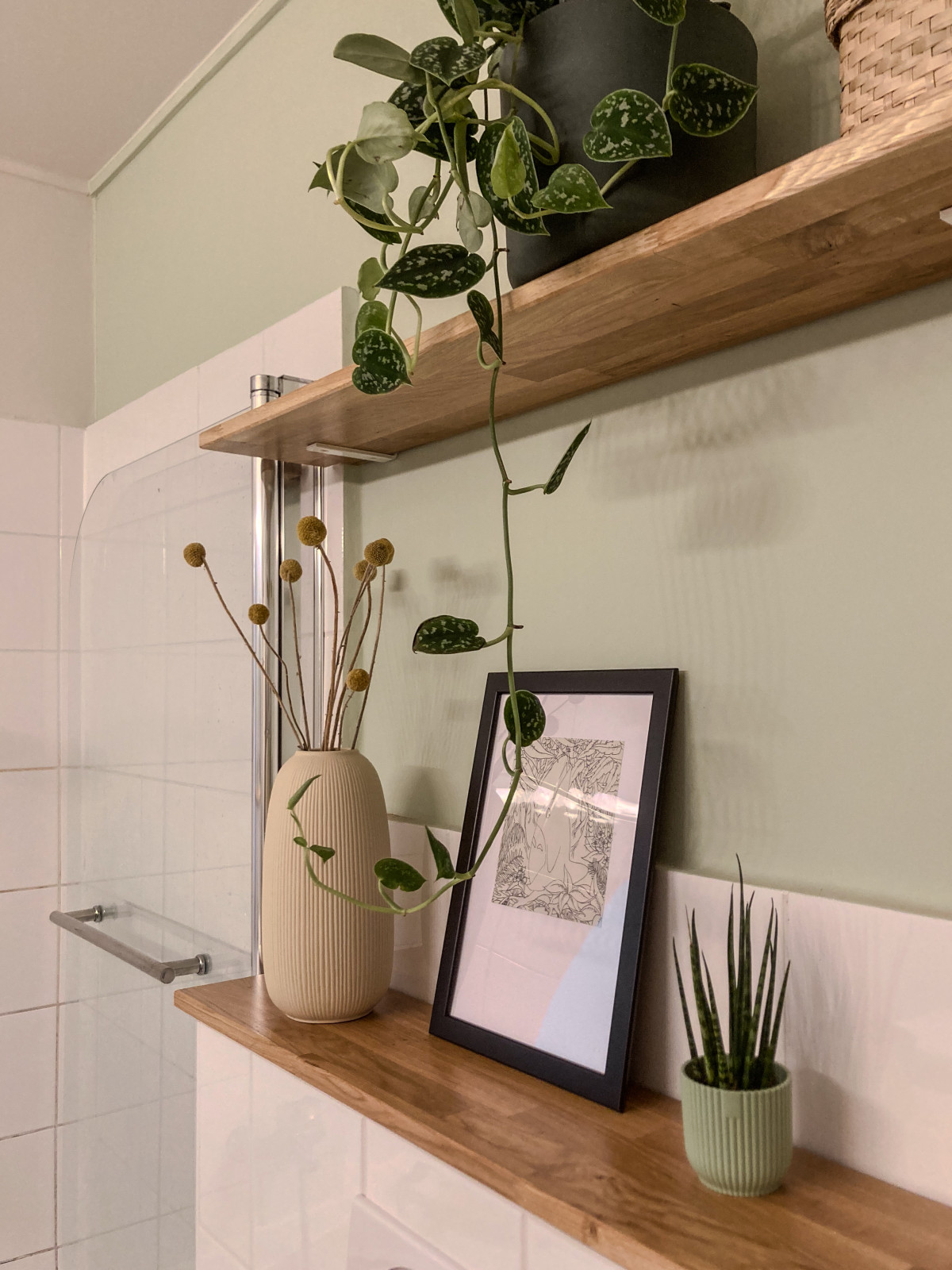 Eichenbretter mit Pflanzen vor hellgrüner Wand