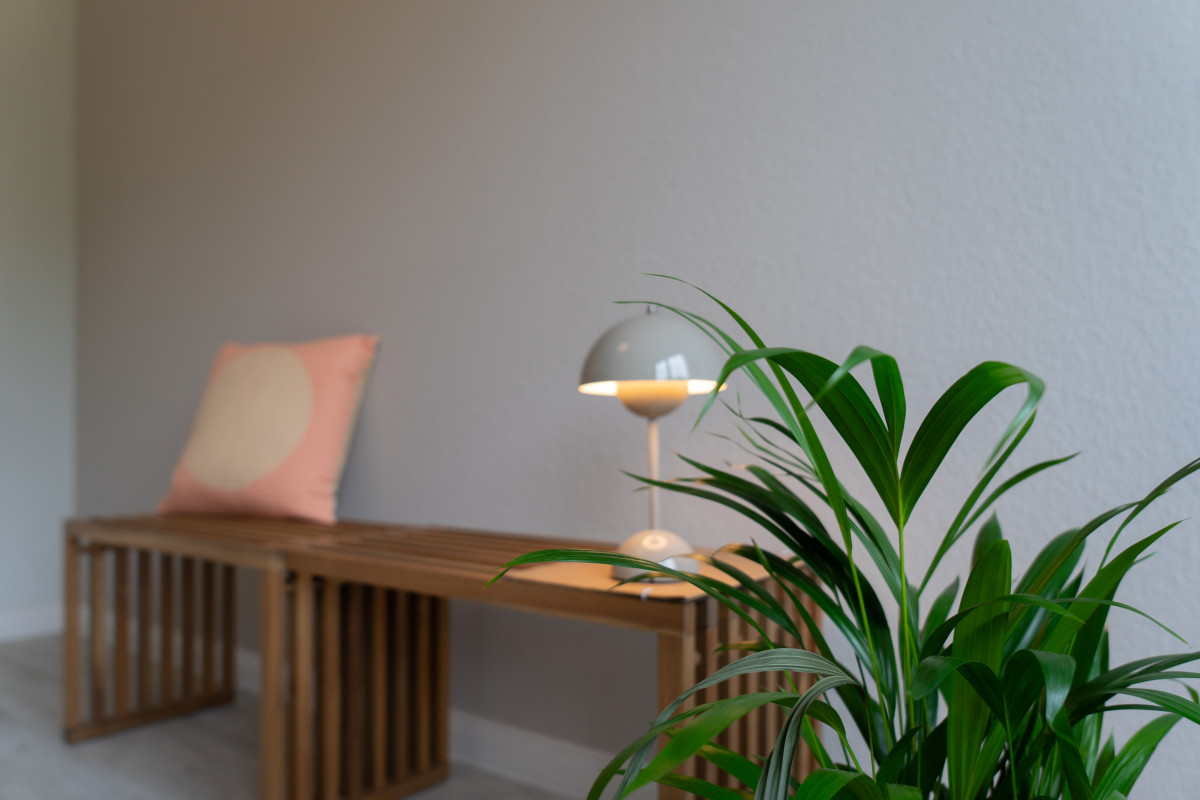 Bank im Beratungsraum mit Pflanze